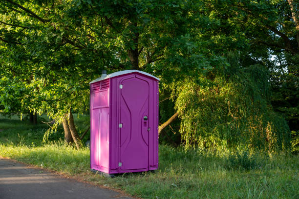 Portable bathroom rental in Sleepy Eye, MN